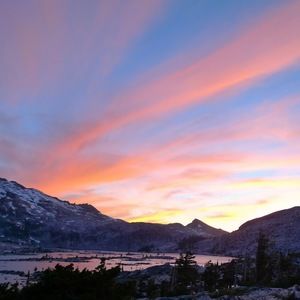 Meet your Posher, Josephine